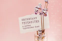 Secretary Typewriter font