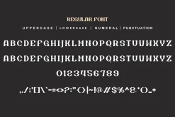Sejary Grunge - Font Duo College