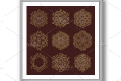 Set of Round Vector Snowflakes With