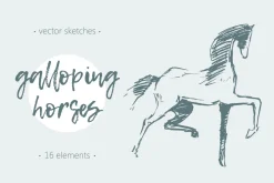 Set of hand drawn horses