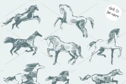Set of hand drawn horses