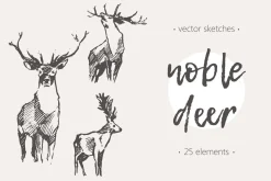 Set of sketches of noble deer