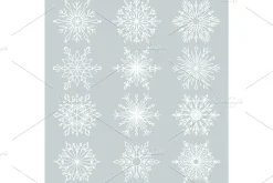 Set of snowflakes