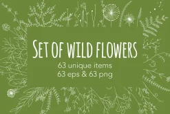 Set of wild flowers