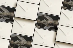 Sezanne - Mockup Scene Creator
