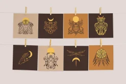 Shamanic Bundle