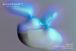Shapeshift: Transformative Abstracts