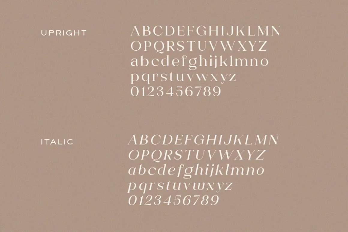 Shavina Serif Typeface