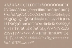 Shavina Serif Typeface