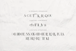She Lost Her Mind | Font duo