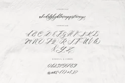 She Lost Her Mind | Font duo