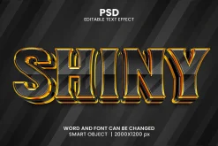 Shiny Luxury 3d Text Effect Font