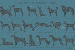 Sighthound and Pariah dog Silhouette