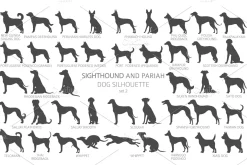Sighthound and Pariah dog Silhouette