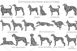 Sighthound and Pariah dog Silhouette
