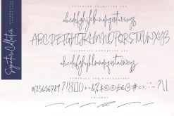 Signature Collection Script Font