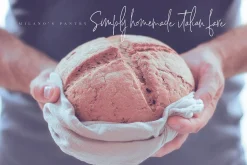 Signature Collection Script Font