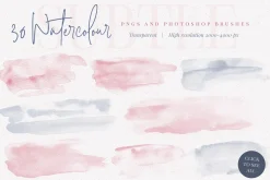 Signature Collection Script Font