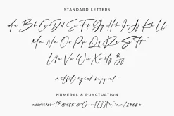 Sign Style – Elegant Signature Font