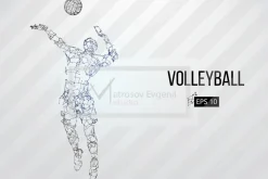 Silhouettes volleyball players. Set