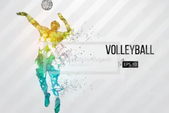 Silhouettes volleyball players. Set