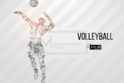 Silhouettes volleyball players. Set