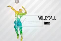 Silhouettes volleyball players. Set