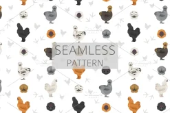 Silkie Chicken breed clip art
