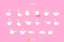 Silly Goose Character Illustrations