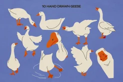 Silly Goose: Hand Drawn Illustration