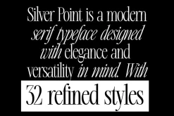 Silver Point–Elegant Editorial Serif
