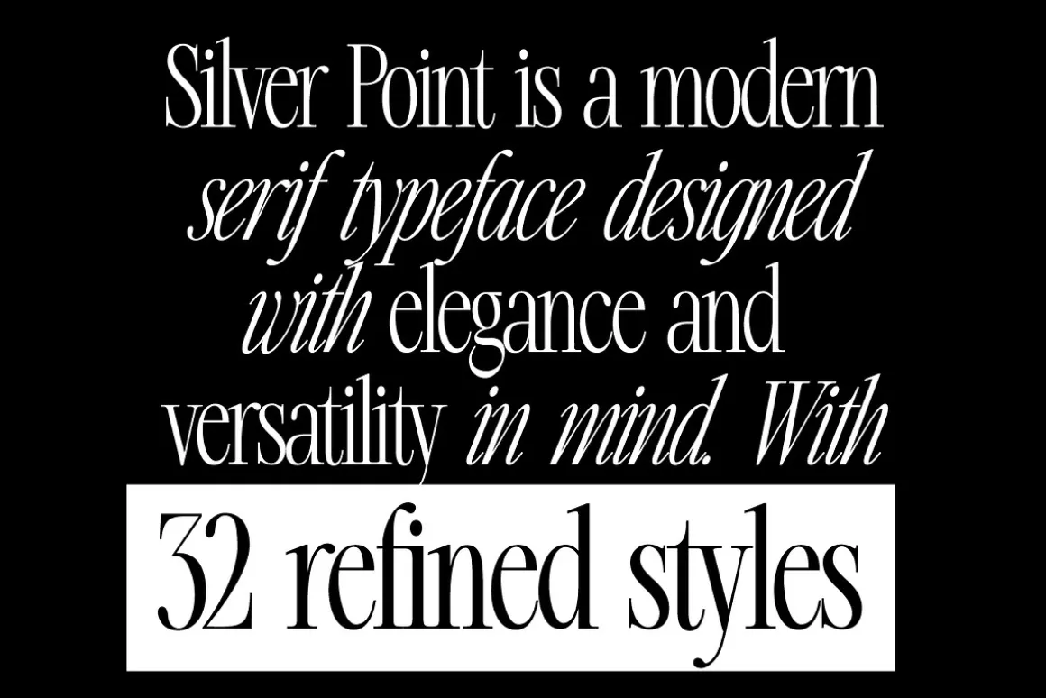 Silver Point–Elegant Editorial Serif