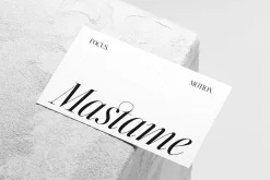 Silver Point–Elegant Editorial Serif
