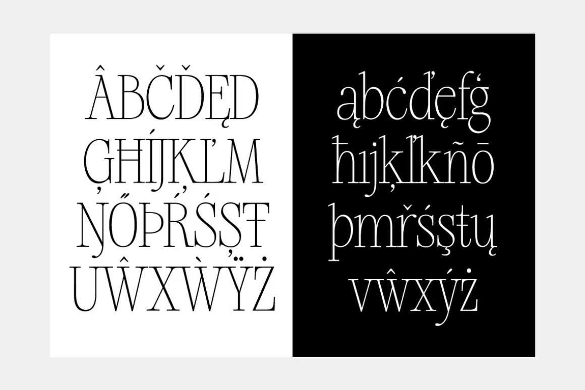 Silver Point–Elegant Editorial Serif