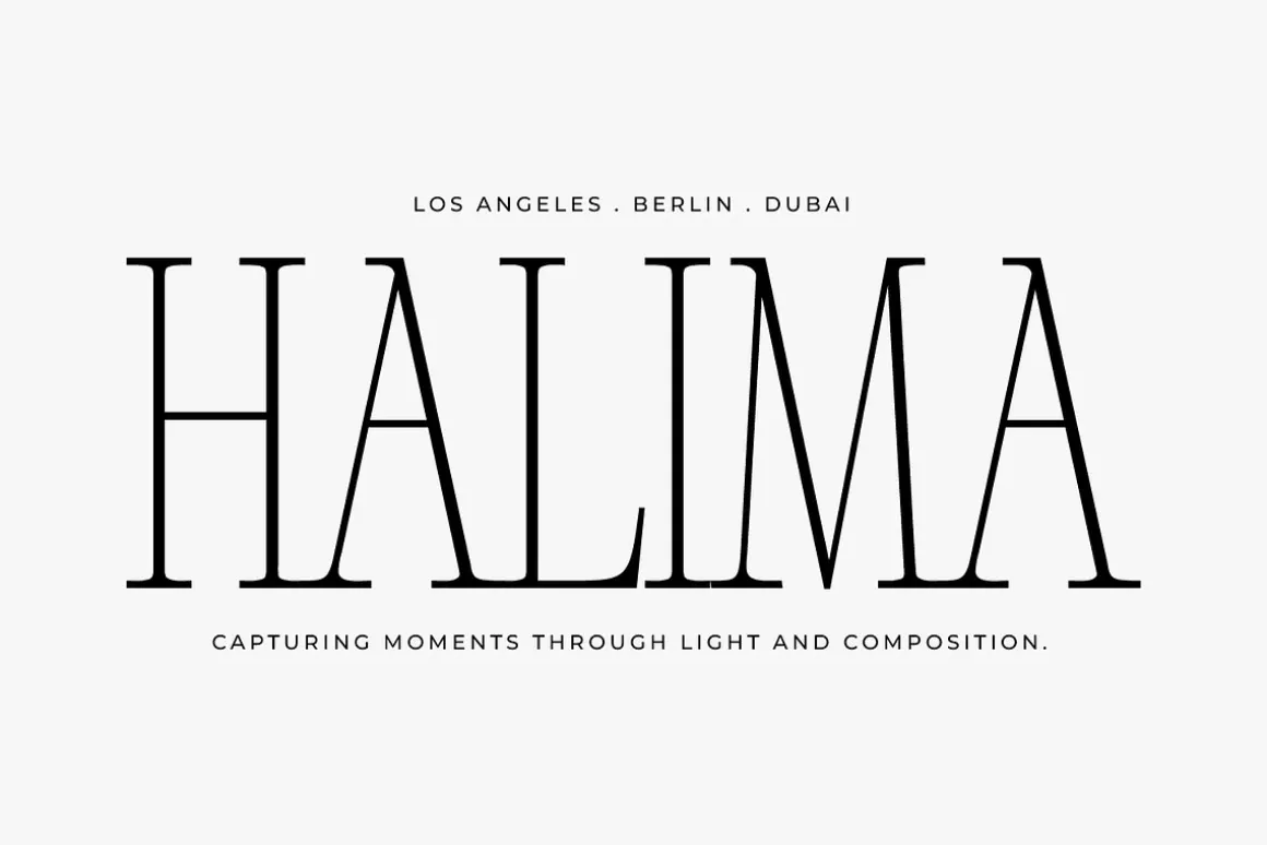 Silver Point–Elegant Editorial Serif