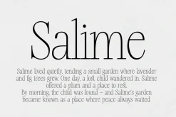 Silver Point–Elegant Editorial Serif