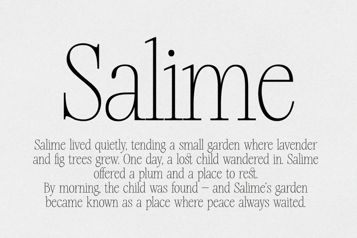 Silver Point–Elegant Editorial Serif