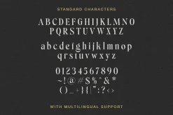 Silver Delight Modern Serif