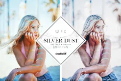 2 Silver lightroom presets