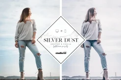 2 Silver lightroom presets