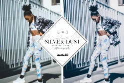 2 Silver lightroom presets
