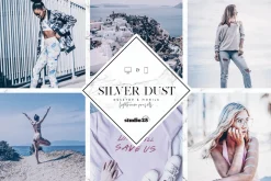 2 Silver lightroom presets