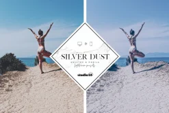 2 Silver lightroom presets