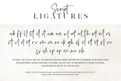 Silver South Font Duo (New Update)