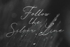 Silver Thread Textured Script Font
