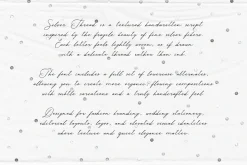Silver Thread Textured Script Font