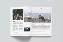 Simpfly Magazine Template