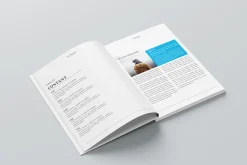 Simpfly Magazine Template