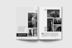 Simple & Clean Magazine Template III