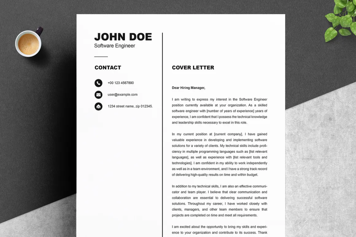 Simple Minimalistic Resume Template